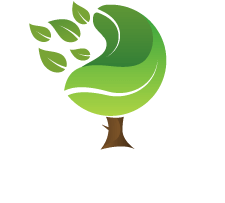 Plant World ogrody i parki tylko z Plant World!
